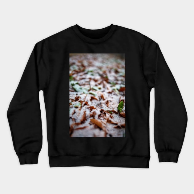 Leaves powdered with snow Crewneck Sweatshirt by naturalis